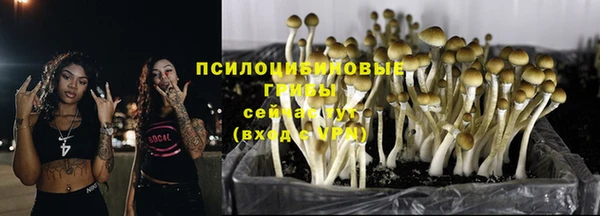 гидропоника Осташков