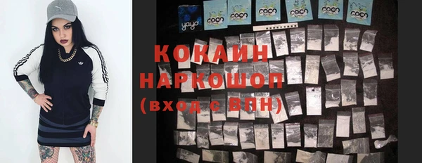 Альфа ПВП Осинники