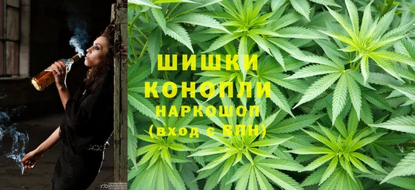 Альфа ПВП Осинники