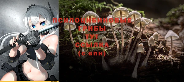 Альфа ПВП Осинники