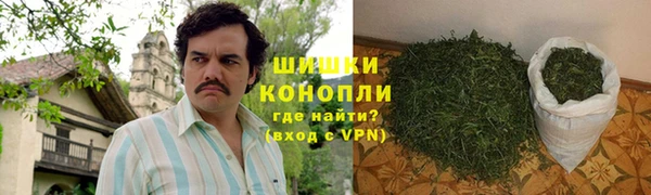 Альфа ПВП Осинники